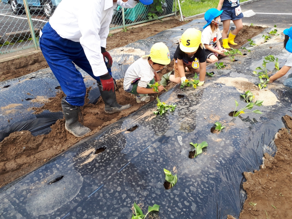 日野保育園