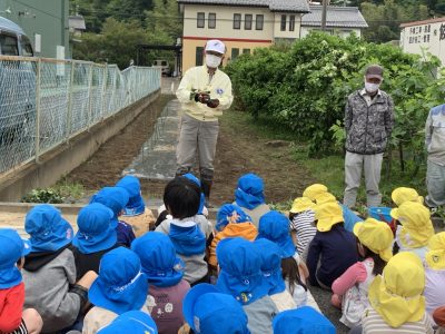 さつまいもの苗植え | 日野保育園