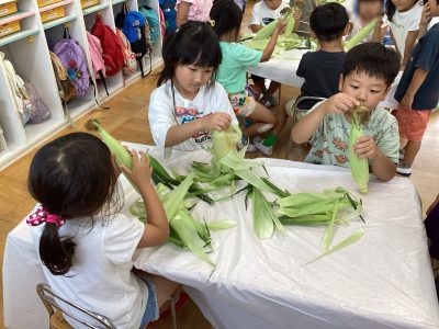 とうもろこしの皮むき | 日野保育園