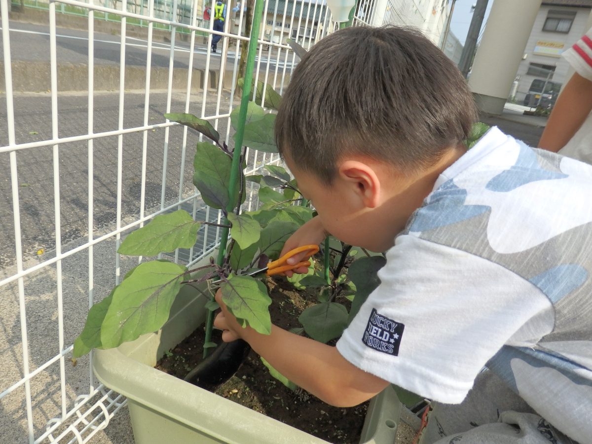 日野保育園