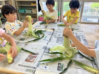 食育の夏、とうもろこしの皮むき | 長森北保育園
