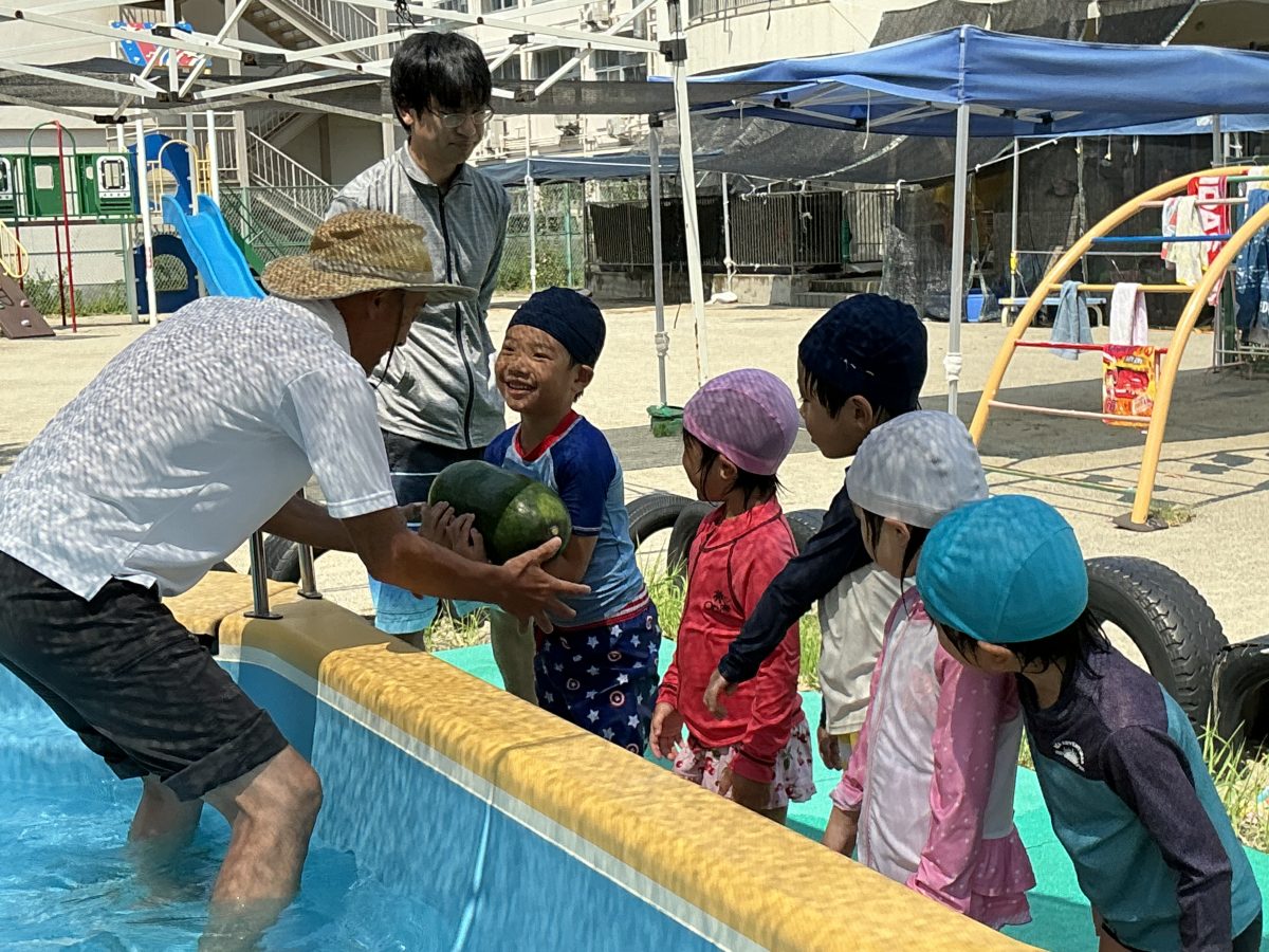 食育の夏 夏野菜さんありがとう | 長森北保育園