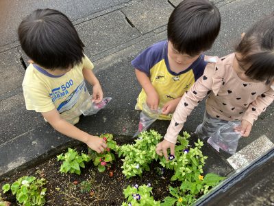 日常の秋を楽しむ子どもたち | 長森北保育園