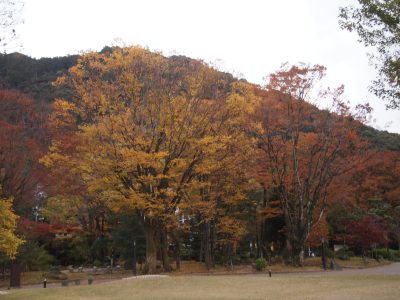 【ふなぶせ南】外出プログラムで岐阜公園に行きました。 | 支援センターふなぶせ南