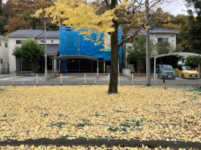 野一色公園、晩秋のある日 | 長森北保育園
