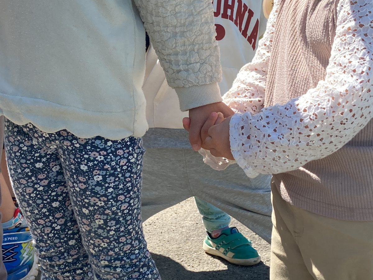 春を楽しむ　野一色公園で　 | 長森北保育園