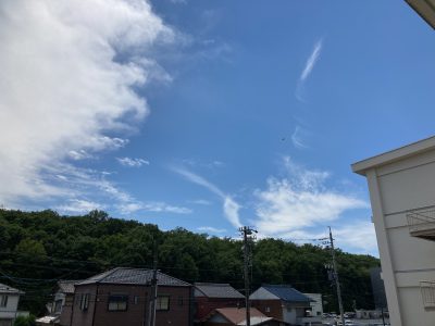 アゲハ蝶、空を舞う、元気でね～！ | 長森北保育園