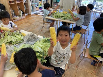 とうもろこしの皮むき | 長森北保育園