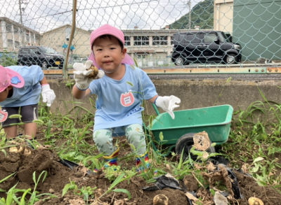 じゃがいもの収穫をしました🥔 | 日野保育園