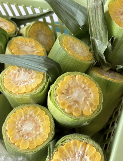 とうもろこしの皮むき🌽（うさぎ） | 日野保育園